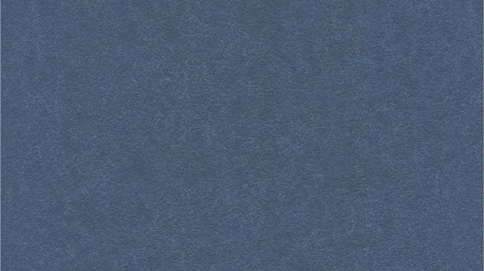 604-2814 - Navy Blazer