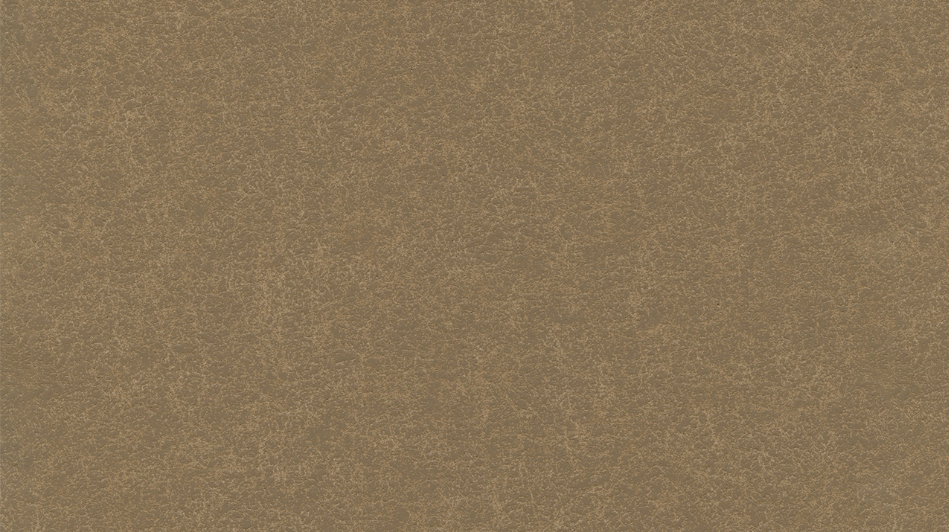 604-3564 - Roast Chestnut