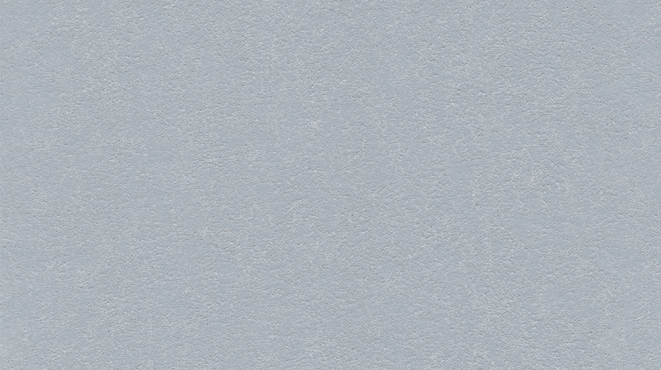 604-5387 - Silver Charm