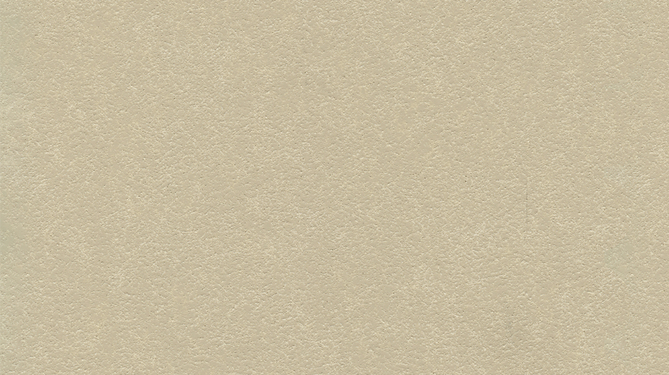 604-4024 - Whale Bone